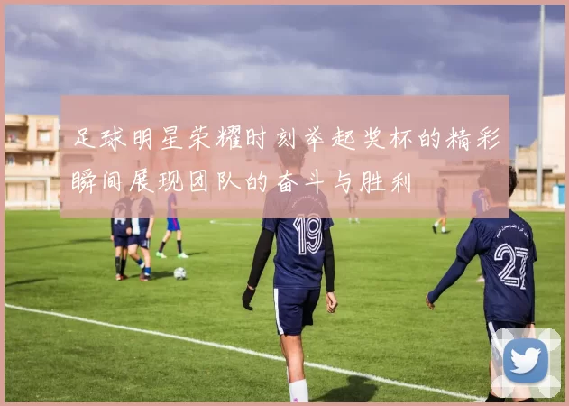 足球明星荣耀时刻举起奖杯的精彩瞬间展现团队的奋斗与胜利