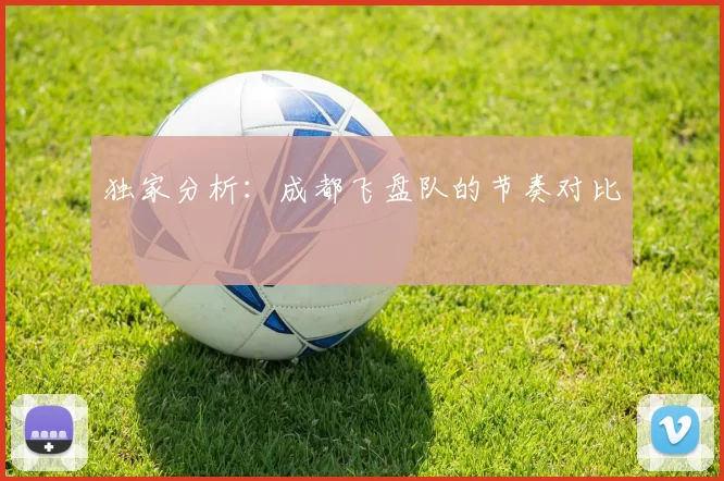 独家分析：成都飞盘队的节奏对比
