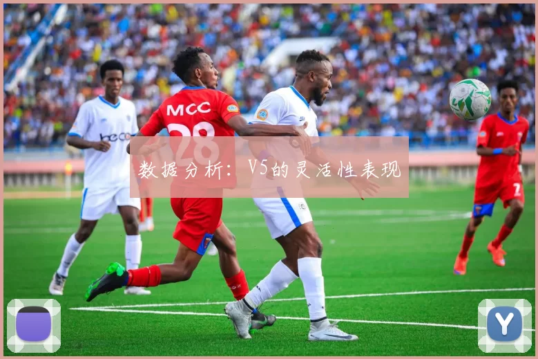 数据分析：V5的灵活性表现