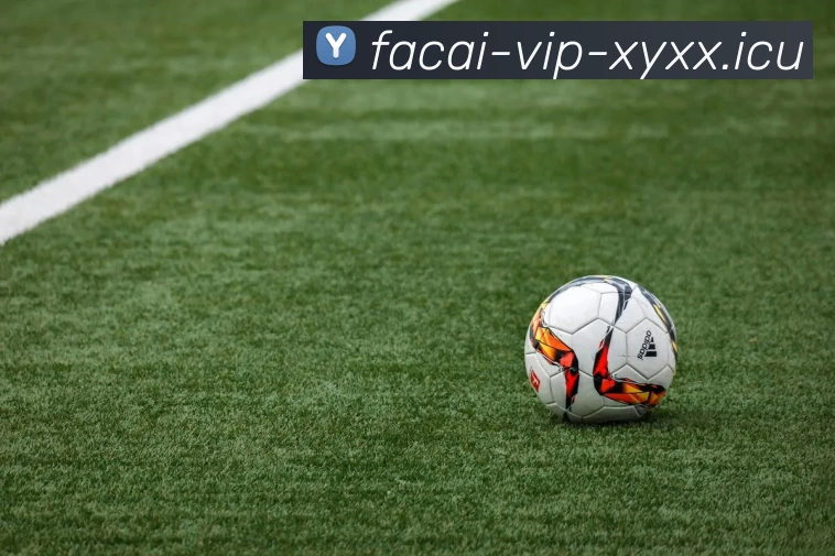 开云体育品牌故事