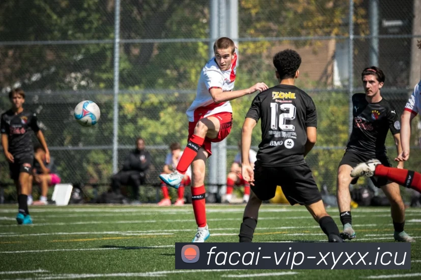 开云体育服务体系