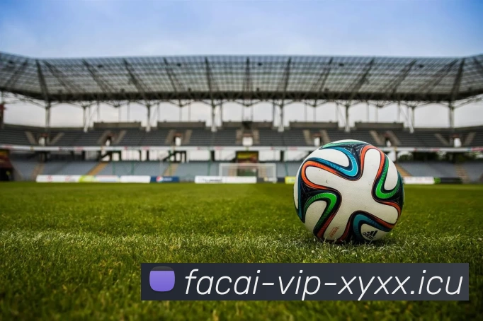 开云体育APP 体育赛事宣传图